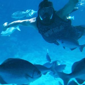 Meet your Posher, Jaromir